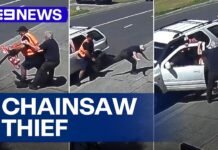 Worker wrestles with offender during chainsaw theft | 9 News Australia
