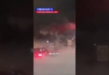 Reckless hoons take over suburban streets | 9 News Australia